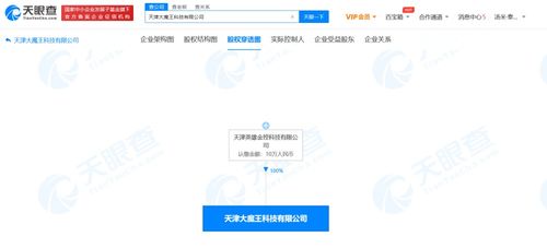 軟件開發(fā) 從構(gòu)思到實(shí)現(xiàn)的創(chuàng)新之旅